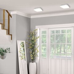 Eko-Light потолочный LED светильник AJAX 10 W kaina ir informacija | Потолочные светильники | hansapost.ee