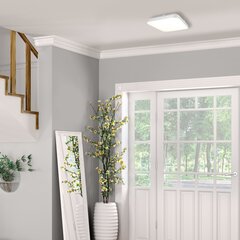 Eko-Light потолочный светильник AJAX цена и информация | Потолочные светильники | hansapost.ee