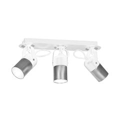 потолочный светильник wilson 4xgu10, белый цена и информация | Потолочные светильники | hansapost.ee