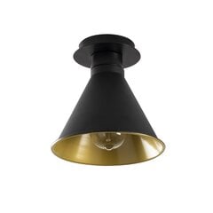 Opviq Alby потолочный светильник Berceste - N-676 цена и информация | Потолочные светильники | hansapost.ee