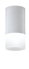 Candellux потолочный светильник 2273686 цена и информация | Потолочные светильники | hansapost.ee