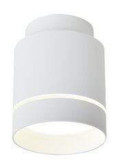 Candellux потолочный светильник 2275918 цена и информация | Потолочные светильники | hansapost.ee