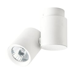 Light Prestige потолочный светильник Boston 1 White цена и информация | Потолочные светильники | hansapost.ee