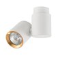 Light Prestige laevalgusti Boston 1 White/Gold цена и информация | Laelambid | hansapost.ee