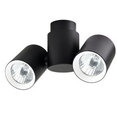 Light Prestige laevalgusti Boston 2 White/Black price and information | Ceiling lamps | hansapost.ee