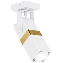 Milagro настенный светильник Vidar White/Gold цена и информация | Потолочные светильники | hansapost.ee