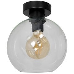 Milagro потолочный светильник Sofia Clear цена и информация | Потолочные светильники | hansapost.ee