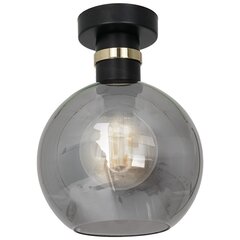 Milagro потолочный светильник Omega Black/Gold цена и информация | Потолочные светильники | hansapost.ee
