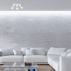 Laevalgusti Milagro Vidar White/Gold price and information | Ceiling lamps | hansapost.ee