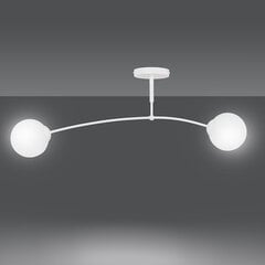 Emibig потолочный светильник Pregos 2 White цена и информация | Потолочные светильники | hansapost.ee