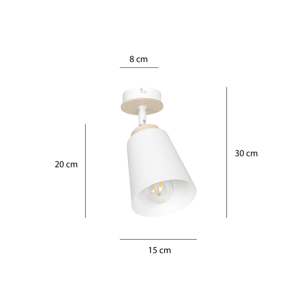 Emibig valgusti Atlas 1 White цена и информация | Laelambid | hansapost.ee