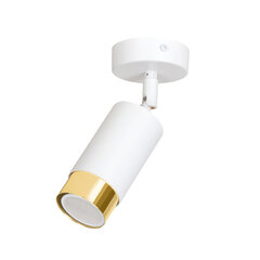 Emibig потолочный светильник Hiro 1 White-Gold цена и информация | Потолочные светильники | hansapost.ee