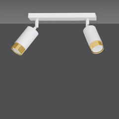 Emibig потолочный светильник Hiro 2 White-Gold цена и информация | Потолочные светильники | hansapost.ee