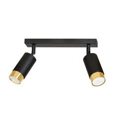 Emibig потолочный светильник Hiro 2 Black-Gold цена и информация | Потолочные светильники | hansapost.ee