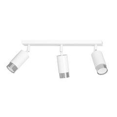 Emibig потолочный светильник Hiro 3 White-Chrome цена и информация | Потолочные светильники | hansapost.ee