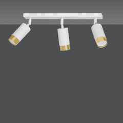 Emibig потолочный светильник Hiro 3 White-Gold цена и информация | Потолочные светильники | hansapost.ee