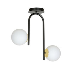 Emibig подвесной светильник Ragnar 2 Black/Gold цена и информация | Потолочный светильник, 38 x 38 x 24 см | hansapost.ee
