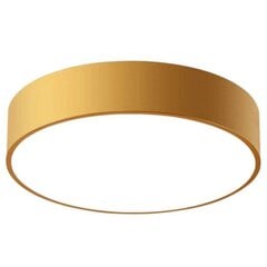 Laevalgusti Classic Gold, 30 cm цена и информация | Потолочные светильники | hansapost.ee