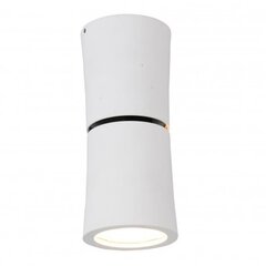 Azzardo потолочный светильник Lino White цена и информация | Потолочные светильники | hansapost.ee