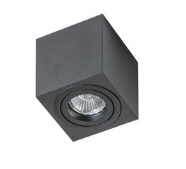 Azzardo потолочный светильник AZ1712 Mini Eloy цена и информация | Потолочные светильники | hansapost.ee