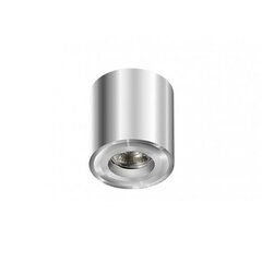 Azzardo потолочный светильник AZ1757 Mini Bross цена и информация | Потолочные светильники | hansapost.ee
