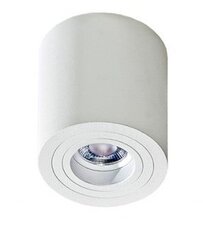 Azzardo потолочный светильник Brant White цена и информация | Потолочные светильники | hansapost.ee