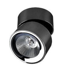 Azzardo потолочный светильник Scorpio Black/Chrome цена и информация | Потолочные светильники | hansapost.ee