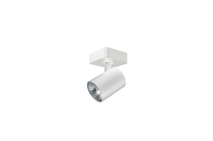 Azzardo потолочный светильник Exo White 1 AZ3194 цена и информация | Потолочные светильники | hansapost.ee