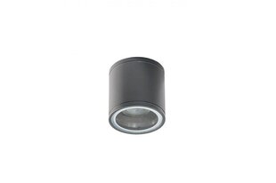 Azzardo потолочный светильник Joe Tube Grey AZ3313 цена и информация | Потолочные светильники | hansapost.ee