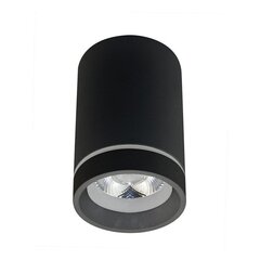 Azzardo светильник Bill AZ3376 цена и информация | Потолочные светильники | hansapost.ee