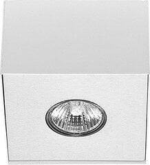 Nowodvorski Lighting laevalgusti Carson White-Silver I 5573 hind ja info | Laelambid | hansapost.ee