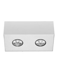 Nowodvorski Lighting laevalgusti Carson White-Silver II 5574 hind ja info | Nowodvorski Lighting Valgustid ja lambid | hansapost.ee