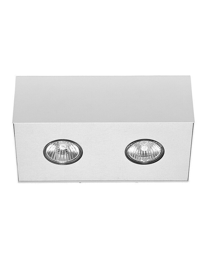 Nowodvorski Lighting laevalgusti Carson White-Silver II 5574 hind ja info | Laelambid | hansapost.ee