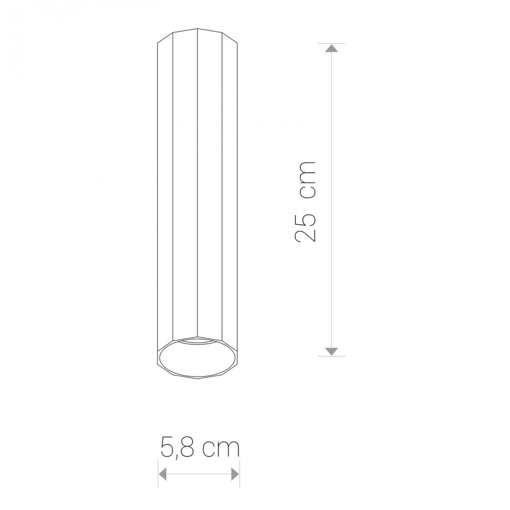 Nowodvorski Lighting laevalgusti Poly M Black 8878 цена и информация | Laelambid | hansapost.ee