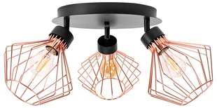 Laevalgusti Neo 3, Rose/Black цена и информация | Потолочные светильники | hansapost.ee