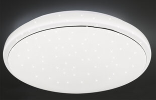 Candellux lighting valgusti Jasper 14-75277 цена и информация | Потолочные светильники | hansapost.ee