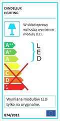 Candellux lighting valgusti Aquila 13-63151 hind ja info | Laelambid | hansapost.ee