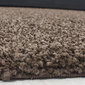 Vaip Ayyildiz Shaggy Dream Brown 4000, 60x110 cm hind ja info | Vaibad | hansapost.ee