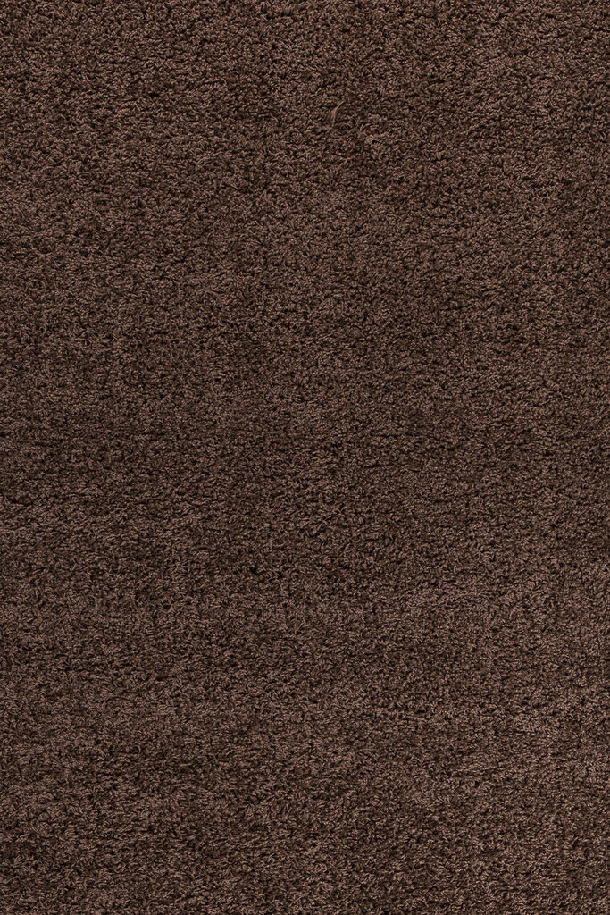 Vaip Ayyildiz Shaggy Dream Brown 4000, 60x110 cm hind ja info | Vaibad | hansapost.ee