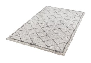 Vaip Hanse Home Grace 102599, 80x150 cm hind ja info | Mint Rugs Mööbel ja sisustuskaubad | hansapost.ee