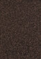 Vaip Hanse Home Nasty Brown, 80x200 cm цена и информация | Vaibad | hansapost.ee