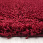 Vaip Ayyildiz LIFE red, 80X250 cm hind ja info | Vaibad | hansapost.ee