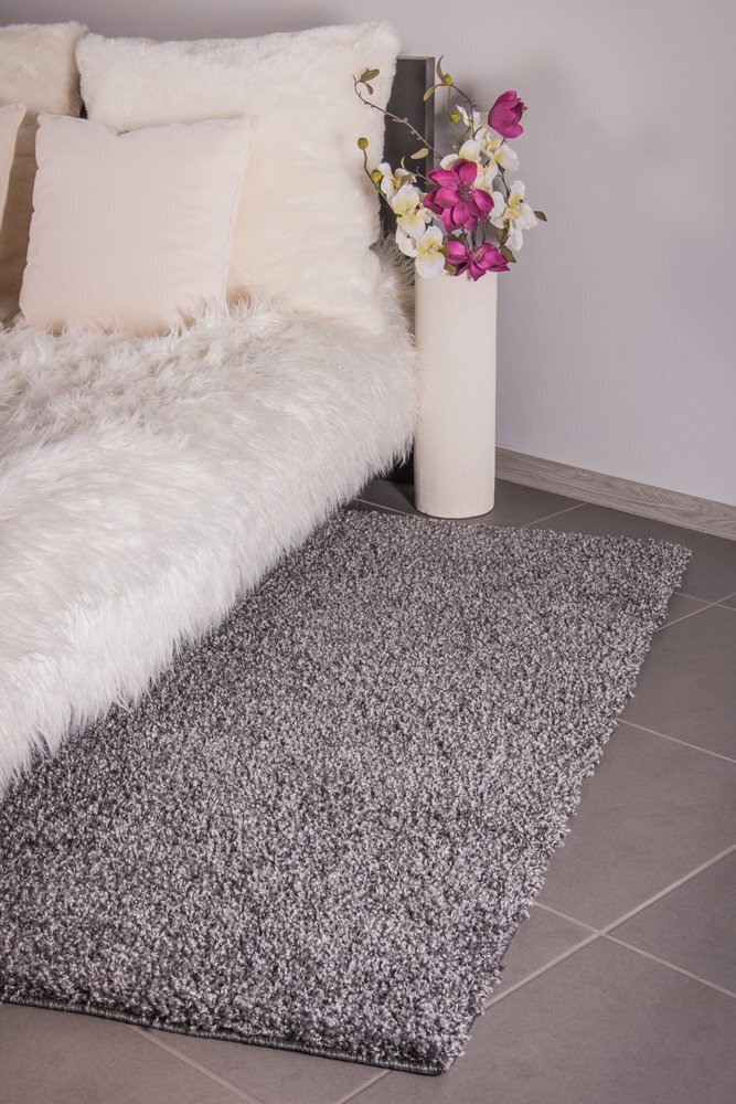 Vaip Shaggy Grey, 100 x 150 cm hind ja info | Vaibad | hansapost.ee