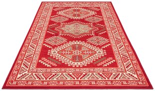 Vaip Nouristan Mirkan Skazar Isfahan 120x170 cm, punane hind ja info | Vaibad | hansapost.ee