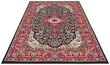 Vaip Nouristan Mirkan Skazar Isfahan 200x290 cm, punane hind ja info | Vaibad | hansapost.ee