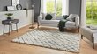 Mint Rugs vaip Allure Archer, 120x170 cm hind ja info | Vaibad | hansapost.ee