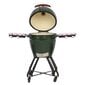 Keraamiline grill TunaBone Kamado classic M, 55 cm, roheline цена и информация | Grillid | hansapost.ee