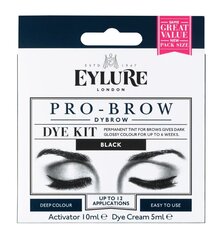 Краска для бровей Eylure Eyl Pro-Brow Dybrow цена и информация | Карандаши, краска для бровей | hansapost.ee