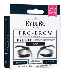 Краска для бровей Eylure Eyl Pro-Brow Dybrow цена и информация | Карандаши, краска для бровей | hansapost.ee