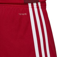 Meeste lühikesed püksid Adidas Tastigo 19 M DP3681, punased hind ja info | Spordiriided meestele | hansapost.ee